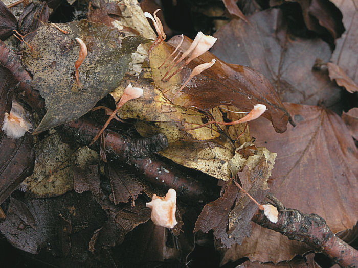 Sicilia Autunno-Inverno